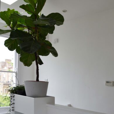 e1-column 2a